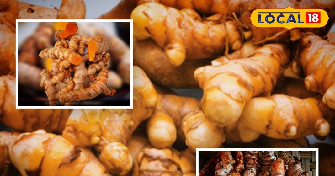 साल में सिर्फ दो महीने मिलती है ये ताकतवर सब्जी, देसी घी में बनती है और सर्दी-जुकाम का है परमानेंट इलाज