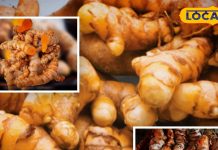 साल में सिर्फ दो महीने मिलती है ये ताकतवर सब्जी, देसी घी में बनती है और सर्दी-जुकाम का है परमानेंट इलाज