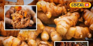 साल में सिर्फ दो महीने मिलती है ये ताकतवर सब्जी, देसी घी में बनती है और सर्दी-जुकाम का है परमानेंट इलाज