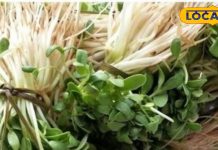 Health Tips: सिर्फ सर्दियों में मिलती है ये नेचुरल औषधि! थकान, कमजोरी और ठंड को करती है गायब, जानें इसका राज – Rajasthan News