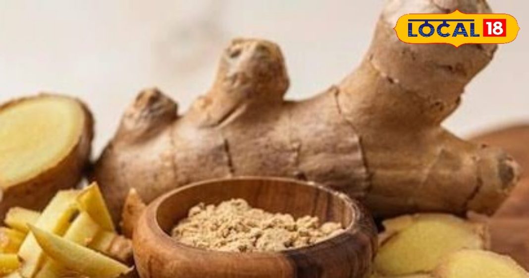 Ginger powder: अब बार-बार नहीं खरीदना पड़ेगा महंगा अदरक, घर पर ही आजमाएं ये नुस्खा, चाय से लेकर सब्जी तक का बढ़ जाएगा स्वाद