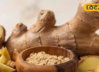 Ginger powder: अब बार-बार नहीं खरीदना पड़ेगा महंगा अदरक, घर पर ही आजमाएं ये नुस्खा, चाय से लेकर सब्जी तक का बढ़ जाएगा स्वाद