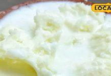 बिरयानी, लस्सी से बालूशाही तक… ये हैं मेरठ के फेमस स्ट्रीट फूड, हर बाइट में मिलेगा बेहतरीन स्वाद, एक बार जरूर करें ट्राई