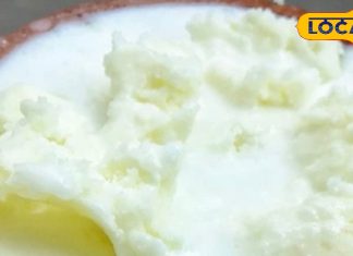 बिरयानी, लस्सी से बालूशाही तक… ये हैं मेरठ के फेमस स्ट्रीट फूड, हर बाइट में मिलेगा बेहतरीन स्वाद, एक बार जरूर करें ट्राई