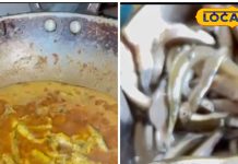 स्वाद के ही तो पैसे हैं! छोटी मछलियों में सबसे महंगी सलांगी मछली, नोट करें रेसिपी – Chhattisgarh News