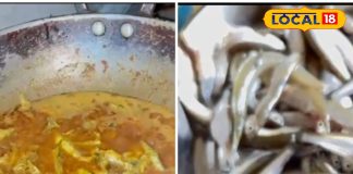 स्वाद के ही तो पैसे हैं! छोटी मछलियों में सबसे महंगी सलांगी मछली, नोट करें रेसिपी – Chhattisgarh News