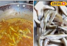 ठंड में बनाएं छत्तीसगढ़ी सलांगी, मिलेगा प्रोटीन और एनर्जी को डबल डोज, जानें रेसिपी