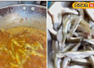 ठंड में बनाएं छत्तीसगढ़ी सलांगी, मिलेगा प्रोटीन और एनर्जी को डबल डोज, जानें रेसिपी