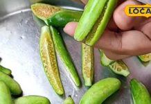 Health Tips : कच्चा खाओ या पक्का, लाभ मिलेगा शर्तिया, ऐसी सब्जी जिसका पत्तियां तक रामबाण – Uttar Pradesh News