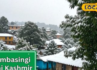 दक्षिण का कश्मीर! जहां हर सर्दी में बरसती है बर्फ, लांबासिंगी बना ठंड का स्वर्ग