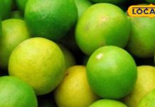 खट्टा-तीखा और सबको भाएगा यह नींबू का मसालेदार अचार, सालों तक नहीं होगा खराब, जानें आसान रेसिपी