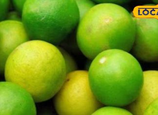 खट्टा-तीखा और सबको भाएगा यह नींबू का मसालेदार अचार, सालों तक नहीं होगा खराब, जानें आसान रेसिपी