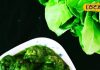 सिर्फ 10 मिनट में बनाएं ये सुपर हेल्दी पालक की सब्जी, ठंड भी भगाए और ताकत भी बढ़ाए