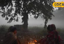 सर्दी-जुकाम से रहेंगे कोसों दूर! सर्दियों में अपनाएं ये 5 सीक्रेट हेल्थ टिप्स, फिट रहेंगे पूरे सीजन