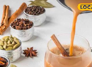 Masala Tea: रोज की बोरिंग चाय से हो गए हैं परेशान? ट्राई करें यह 5 स्पेशल मसाला चाय रेसिपी, सर्दियों के लिए भी परफेक्ट – Uttar Pradesh News