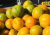 Orange benefits : जानें संतरा खाने का सही तरीका, 99% लोग करते हैं ये गलती, बाद में पड़ती है भारी – Uttarakhand News