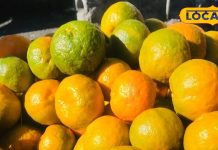 Orange benefits : जानें संतरा खाने का सही तरीका, 99% लोग करते हैं ये गलती, बाद में पड़ती है भारी – Uttarakhand News