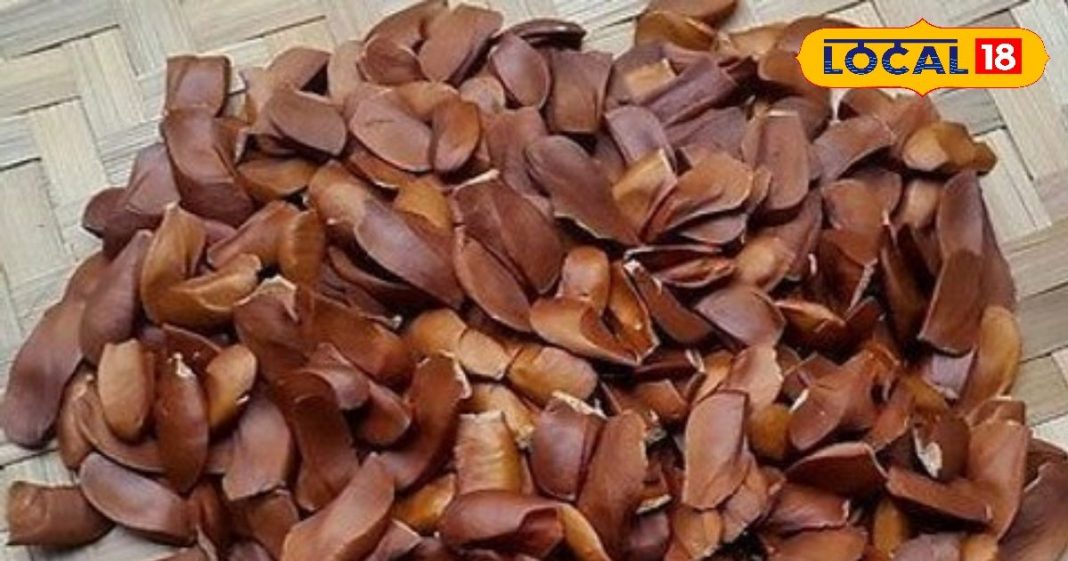 Health Tips | Diabetes Diet | Best Fruits for Diabetic Patients | Diabetes Control Foods | Natural Sugar Control | Healthy Fruits for Diabetes | Blood Sugar Level Tips | Sugar Free Diet Tips