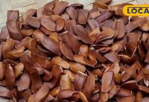 Health Tips | Diabetes Diet | Best Fruits for Diabetic Patients | Diabetes Control Foods | Natural Sugar Control | Healthy Fruits for Diabetes | Blood Sugar Level Tips | Sugar Free Diet Tips