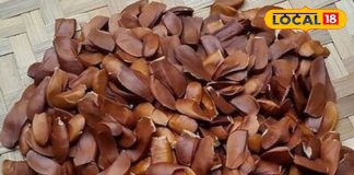 Health Tips | Diabetes Diet | Best Fruits for Diabetic Patients | Diabetes Control Foods | Natural Sugar Control | Healthy Fruits for Diabetes | Blood Sugar Level Tips | Sugar Free Diet Tips