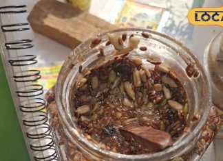 YR Herbal Dawa Khan का नया अफगानी हर्बल एनर्जी बूस्टर, फायदे जानें