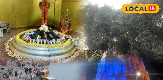 Tourist Place: देखा है छत्तीसगढ़ का मिनी अमेजन? सर्दी मेंं पर्यटकों के लिए ये हैं बेस्ट प्लेस – Chhattisgarh News