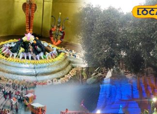 Tourist Place: देखा है छत्तीसगढ़ का मिनी अमेजन? सर्दी मेंं पर्यटकों के लिए ये हैं बेस्ट प्लेस – Chhattisgarh News