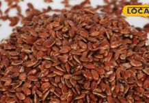 दिल, वजन और पाचन….एक चम्मच अलसी के बीज, कई बीमारियों से होगा बचाव, जानिए कैसे करें सेवन – Uttar Pradesh News