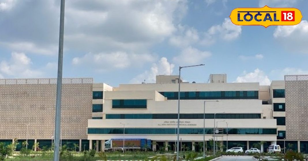 जिम करने वाले युवा हो जाएं सतर्क, कहीं आपके सप्लीमेंट में ये चीज तो नहीं, हड्डियों को कर देगा कमजोर