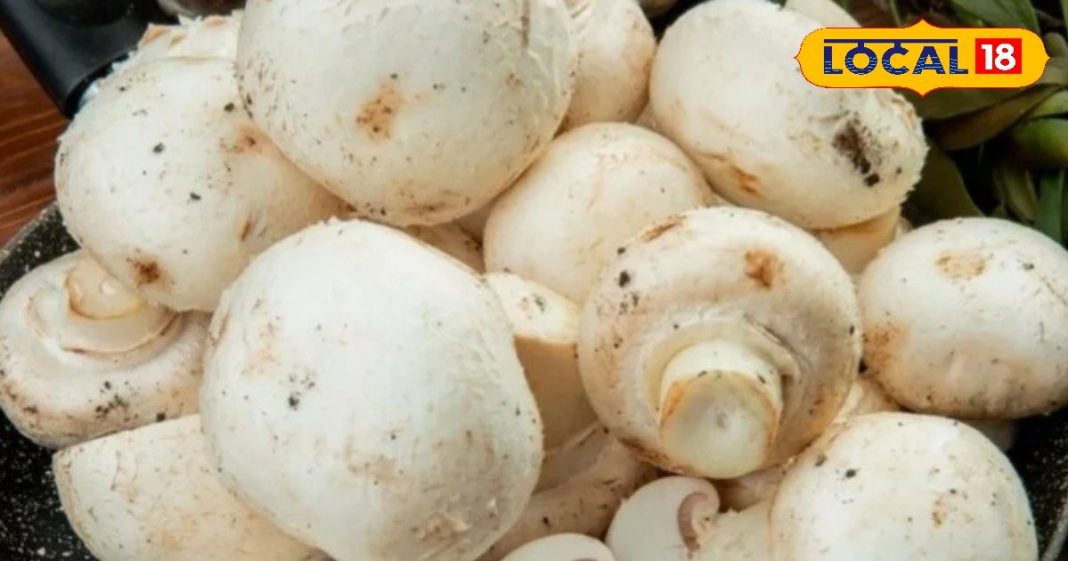 इस सब्जी में कूट-कूटकर भरे हैं ‘विटामिन-D’, हड्डियों को वज्र जैसा बना देगा मजबूत, इम्यूनिटी के लिए पावरहाउस