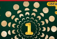 नया वाहन, नया नंबर…. जानें कौन सा नंबर है आपके लिए फायदेमंद, खरीदने से पहले जानें जरूरी बातें