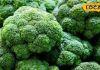 Health tips : ये सब्जी सर्दियों की दुश्मन, इन तत्वों से भरपूर, सेहत के लिए चमत्कारी – Uttar Pradesh News