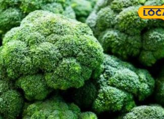 Health tips : ये सब्जी सर्दियों की दुश्मन, इन तत्वों से भरपूर, सेहत के लिए चमत्कारी – Uttar Pradesh News