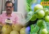 इम्युनिटी का पावरहाउस है ‘आंवला’, सर्दी, दमा, अस्थमा व जोड़ों के दर्द का भी काल, आयुर्वेद विशेषज्ञ ने बताए तरीका – Chhattisgarh News