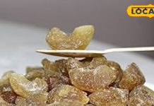 Healthy Candy: शुगर वाली कैंडी भूल जाएंगे! ट्राई करें ये आंवला बाइट्स रेसिपी, बच्चे भी मांगेंगे बार-बार – Uttarakhand News