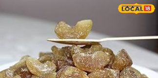 Healthy Candy: शुगर वाली कैंडी भूल जाएंगे! ट्राई करें ये आंवला बाइट्स रेसिपी, बच्चे भी मांगेंगे बार-बार – Uttarakhand News