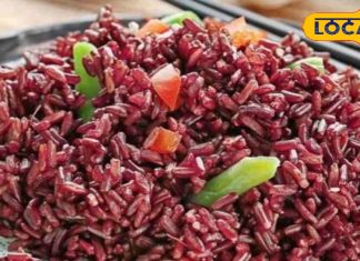 Healthy Rice: 200 रुपये किलो तक बिकता है उत्तराखंड का ये चावल! दिल्ली-मुंबई तक डिमांड, स्वाद और सेहत दोनों में फिट – Uttarakhand News