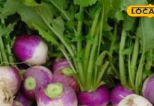 Turnip benefits : पाइल्स हो या पेट दर्द…अचूक इलाज ये जड़ वाली सब्जी, कच्चा खाओ या पक्का – Uttar Pradesh News