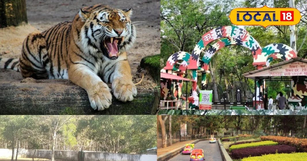 सर्दियों में घूमने की प्लानिंग? पर्यटकों की फेवरेट बिलासपुर की ये जगह, मिलती स्वर्ग वाली फीलिंग – Chhattisgarh News