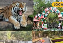 सर्दियों में घूमने की प्लानिंग? पर्यटकों की फेवरेट बिलासपुर की ये जगह, मिलती स्वर्ग वाली फीलिंग – Chhattisgarh News