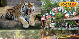 सर्दियों में घूमने की प्लानिंग? पर्यटकों की फेवरेट बिलासपुर की ये जगह, मिलती स्वर्ग वाली फीलिंग – Chhattisgarh News