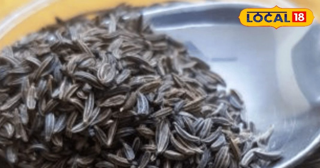 ऊंचे पहाड़ों का ये दुर्लभ मसाला… झटपट कंट्रोल कर देगा वजन और कोलेस्ट्रॉल! ऐसे करें इस्तेमाल – Uttarakhand News