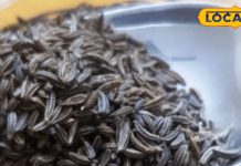 ऊंचे पहाड़ों का ये दुर्लभ मसाला… झटपट कंट्रोल कर देगा वजन और कोलेस्ट्रॉल! ऐसे करें इस्तेमाल – Uttarakhand News