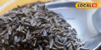 ऊंचे पहाड़ों का ये दुर्लभ मसाला… झटपट कंट्रोल कर देगा वजन और कोलेस्ट्रॉल! ऐसे करें इस्तेमाल – Uttarakhand News