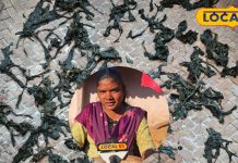 आदिवासियों की पारंपरिक सब्जी ‘सूकटी साग’ का स्वाद बेहद लजीज और स्वादिष्ट अब घर बैठे बनाएँ सूकटी की खास सब्जी जानिए कैसे…