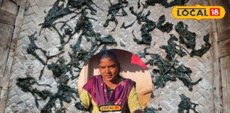 आदिवासियों की पारंपरिक सब्जी ‘सूकटी साग’ का स्वाद बेहद लजीज और स्वादिष्ट अब घर बैठे बनाएँ सूकटी की खास सब्जी जानिए कैसे…