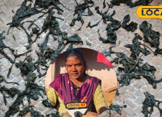 आदिवासियों की पारंपरिक सब्जी ‘सूकटी साग’ का स्वाद बेहद लजीज और स्वादिष्ट अब घर बैठे बनाएँ सूकटी की खास सब्जी जानिए कैसे…