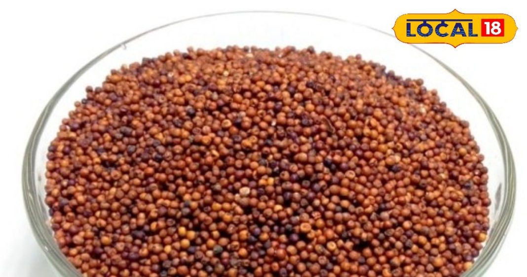 Farming idea : जहां मिट्टी बंजर, मौसम खराब…कुछ हो न हो, ये सुपरफूड जरूर होगा पैदा, जानें तरीका