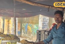 आ गया ‘गरीबों का बादाम’ लोगों को साल भर रहता है इंतजार, बाजार में आते ही मचा दी धूम, सेहत के लिए भी फायदेमंद – Jharkhand News