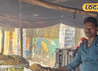 рдЖ рдЧрдпрд╛ ‘рдЧрд░реАрдмреЛрдВ рдХрд╛ рдмрд╛рджрд╛рдо’ рд▓реЛрдЧреЛрдВ рдХреЛ рд╕рд╛рд▓ рднрд░ рд░рд╣рддрд╛ рд╣реИ рдЗрдВрддрдЬрд╛рд░, рдмрд╛рдЬрд╛рд░ рдореЗрдВ рдЖрддреЗ рд╣реА рдордЪрд╛ рджреА рдзреВрдо, рд╕реЗрд╣рдд рдХреЗ рд▓рд┐рдП рднреА рдлрд╛рдпрджреЗрдордВрдж – Jharkhand News